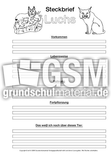 Luchs-Steckbriefvorlage-sw.pdf